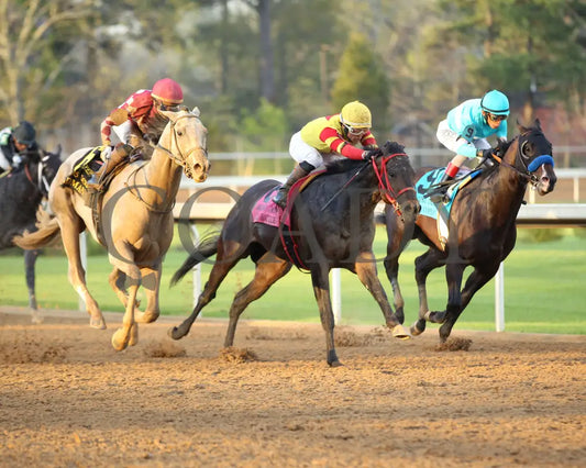 SANDMAN - Arkansas Derby G1 - 89th Running - 03-29-25 - R13 - OP - Turn 02 Oaklawn Park