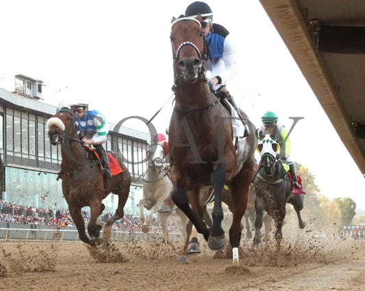 SANDMAN - Arkansas Derby G1 - 89th Running - 03-29-25 - R13 - OP - Under Rail - First Pass 01 Oaklawn Park