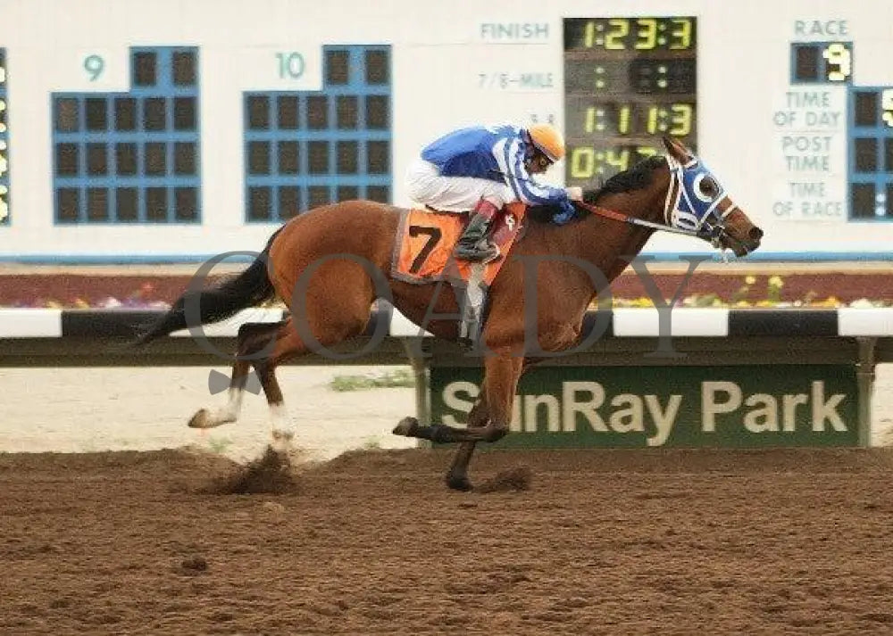 Santaquin - Sponsored By D&D Service Llc Sunray Park