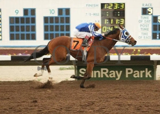 Santaquin - Sponsored By D&D Service Llc Sunray Park