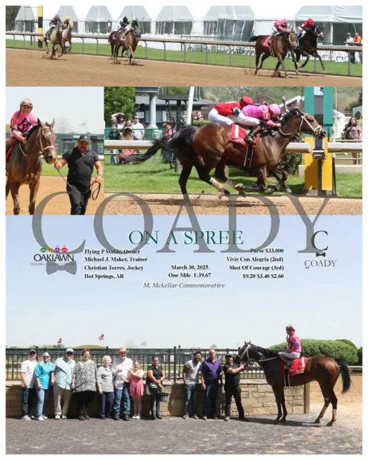 SARANAC LAKE - 033025 - Race 05 - OP Oaklawn Park