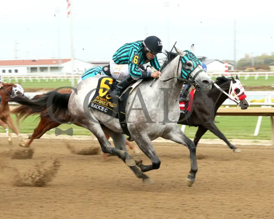 SAUCE C - Governors Juvenile Stakes - 10-25-25 - R10 - Horseshoe Indiana - Finish 02 - Eli Davis Indiana Grand