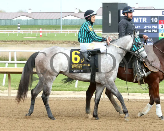 SAUCE C - Governors Juvenile Stakes - 10-25-25 - R10 - Horseshoe Indiana - Post Parade 01 - Eli Davis Indiana Grand