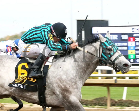 SAUCE C - Governors Juvenile Stakes - 10-25-25 - R10 - Horseshoe Indiana - Tight Finish 01 - Eli Davis Indiana Grand