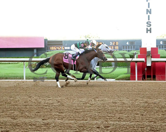 SAUDI CROWN - The Lake Ouachita Stakes - 05-03-25 - R11 - OP - Finish 01 Oaklawn Park