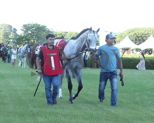 SAUDI CROWN - The Lake Ouachita Stakes - 05-03-25 - R11 - OP - Post Parade 02 Oaklawn Park