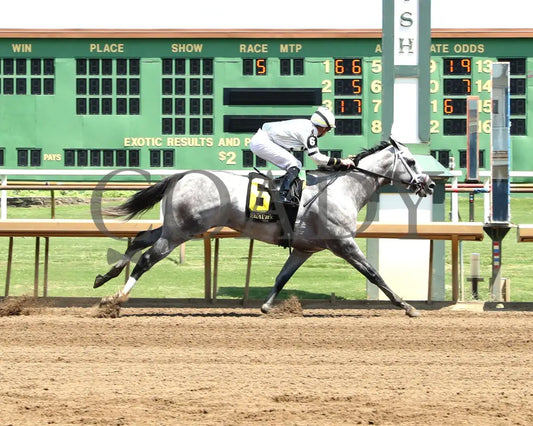 Saudi Crown - The R.a. ’Cowboy’ Jones 3Rd Running 08-11-24 R05 Elp Finish 01 Ellis Park