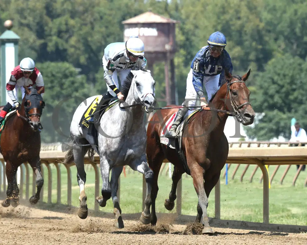 Saudi Crown - The R.a. ’Cowboy’ Jones 3Rd Running 08-11-24 R05 Elp Gallop Out 01 Ellis Park