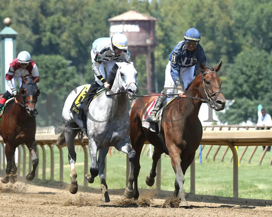 Saudi Crown - The R.a. ’Cowboy’ Jones 3Rd Running 08-11-24 R05 Elp Gallop Out 01 Ellis Park