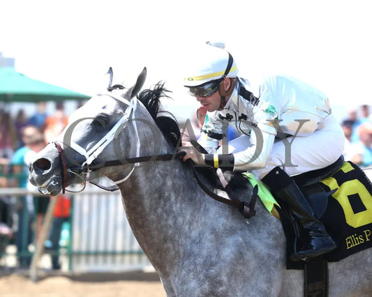 Saudi Crown - The R.a. ’Cowboy’ Jones 3Rd Running 08-11-24 R05 Elp Inside Finish 01 Ellis Park