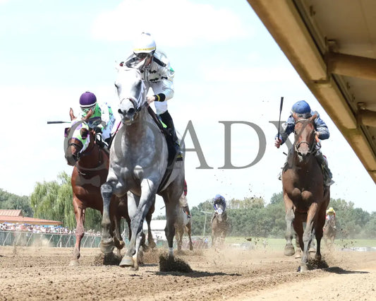 Saudi Crown - The R.a. ’Cowboy’ Jones 3Rd Running 08-11-24 R05 Elp Under Rail 01 Ellis Park
