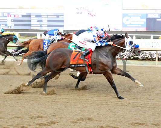 Sawyer Strange - Cox Ranch Distaff Challenge Final 09-19-24 R11 Horseshoe Indiana Finish 01
