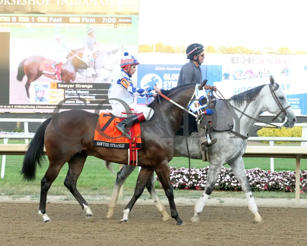 Sawyer Strange - Cox Ranch Distaff Challenge Final 09-19-24 R11 Horseshoe Indiana Post Parade 02