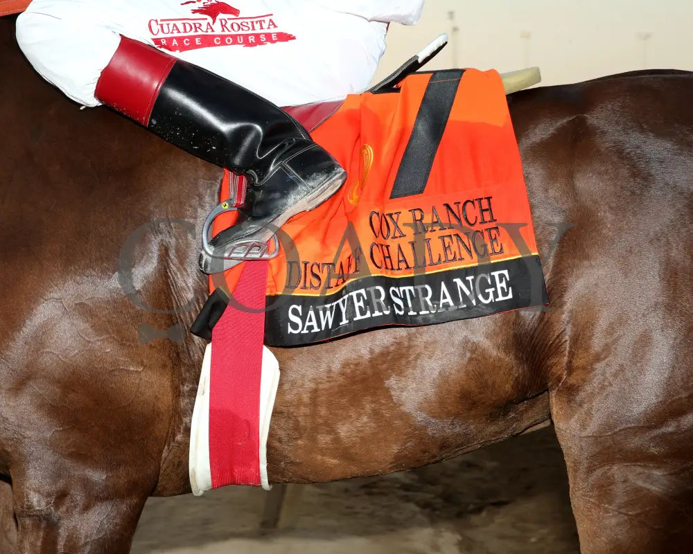 Sawyer Strange - Cox Ranch Distaff Challenge Final 09-19-24 R11 Horseshoe Indiana Saddle Towel 01
