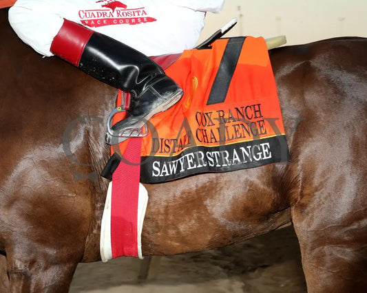Sawyer Strange - Cox Ranch Distaff Challenge Final 09-19-24 R11 Horseshoe Indiana Saddle Towel 01