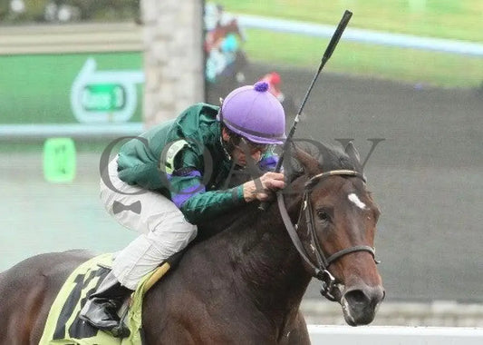 Scatman - 1 101311 Race 03 Keeneland