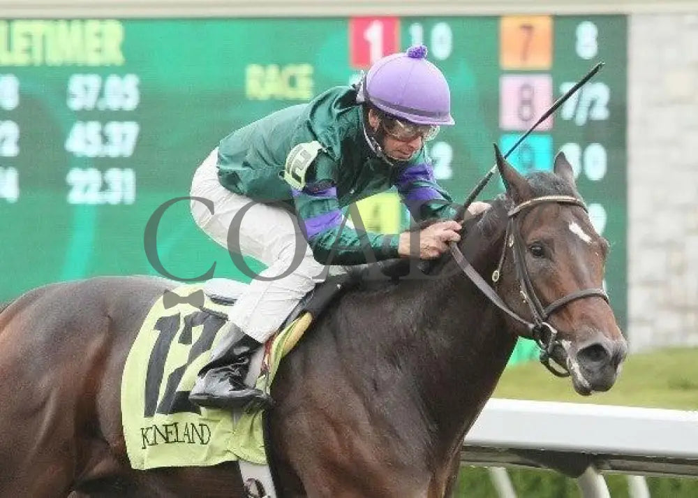 Scatman - 2 101311 Race 03 Keeneland