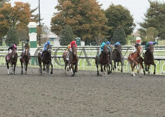 Scatman - 3 101311 Race 03 Keeneland