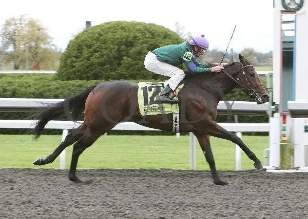 Scatman - 4 101311 Race 03 Keeneland