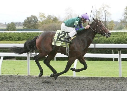 Scatman - 5 101311 Race 03 Keeneland