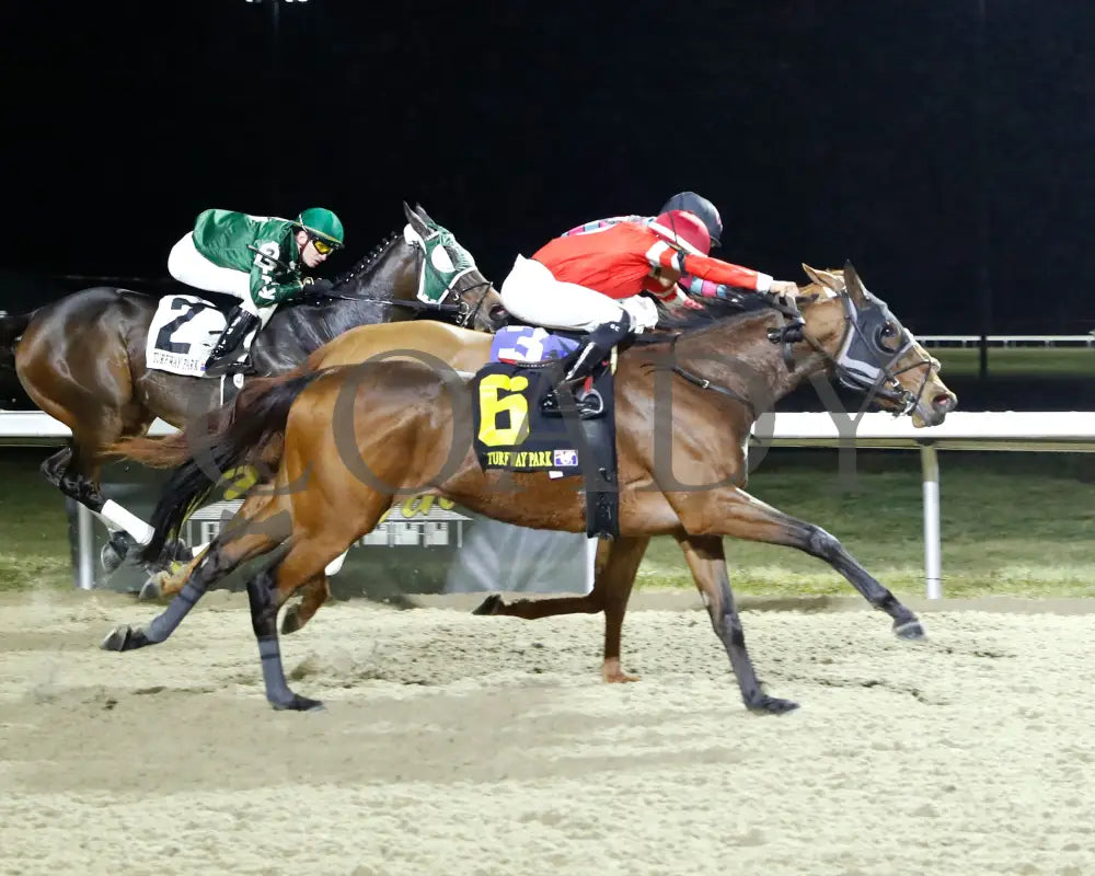 SCHOOL DANCE - 12-27-24 - R08 - TP - Finish 01 Turfway Park