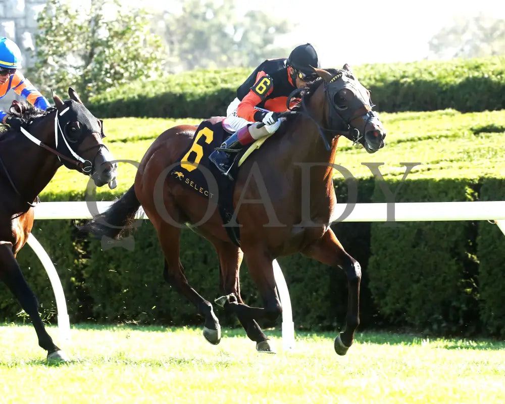 SCHWARZENEGGER - 100525 - Race 08 - KEE - Finish 02 Keeneland