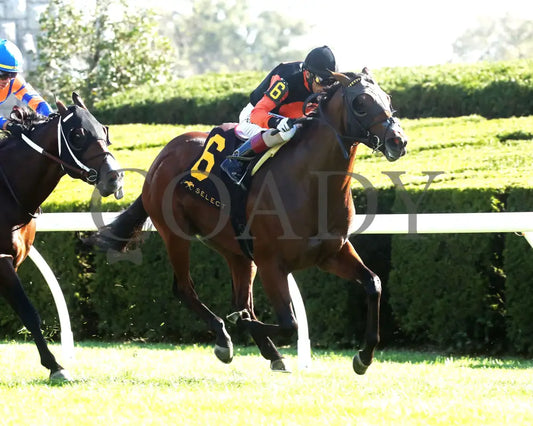 SCHWARZENEGGER - 100525 - Race 08 - KEE - Finish 02 Keeneland