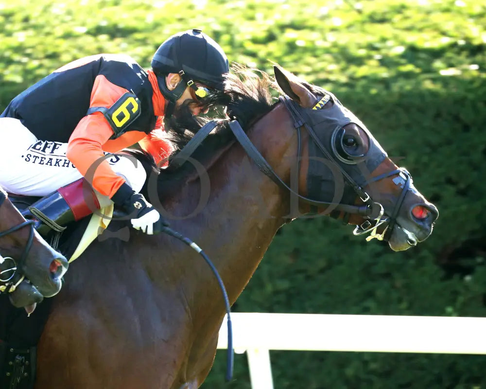 SCHWARZENEGGER - 100525 - Race 08 - KEE - Finish 03 Keeneland