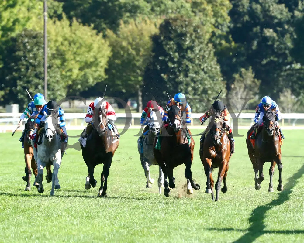 SCHWARZENEGGER - 100525 - Race 08 - KEE - Head On 01 Keeneland