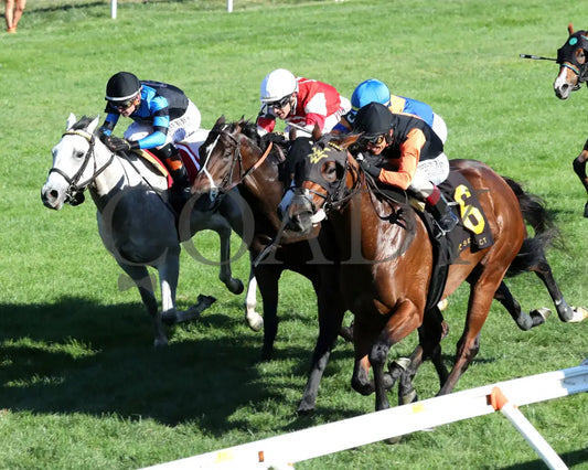 SCHWARZENEGGER - 100525 - Race 08 - KEE - Inside Finish 01 Keeneland