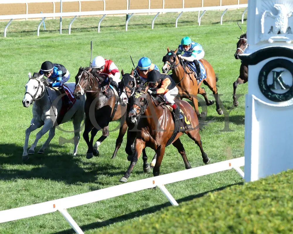 SCHWARZENEGGER - 100525 - Race 08 - KEE - Inside Finish 03 Keeneland