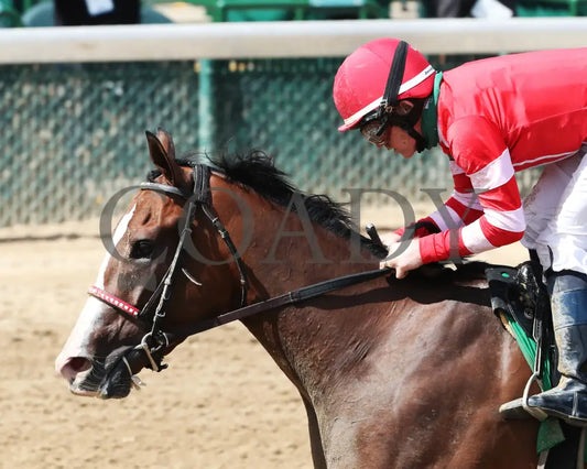Sconsin - Eight Belles G2 65Th Running 09-04-20 R08 Cd Inside Finish 02 Churchill Downs
