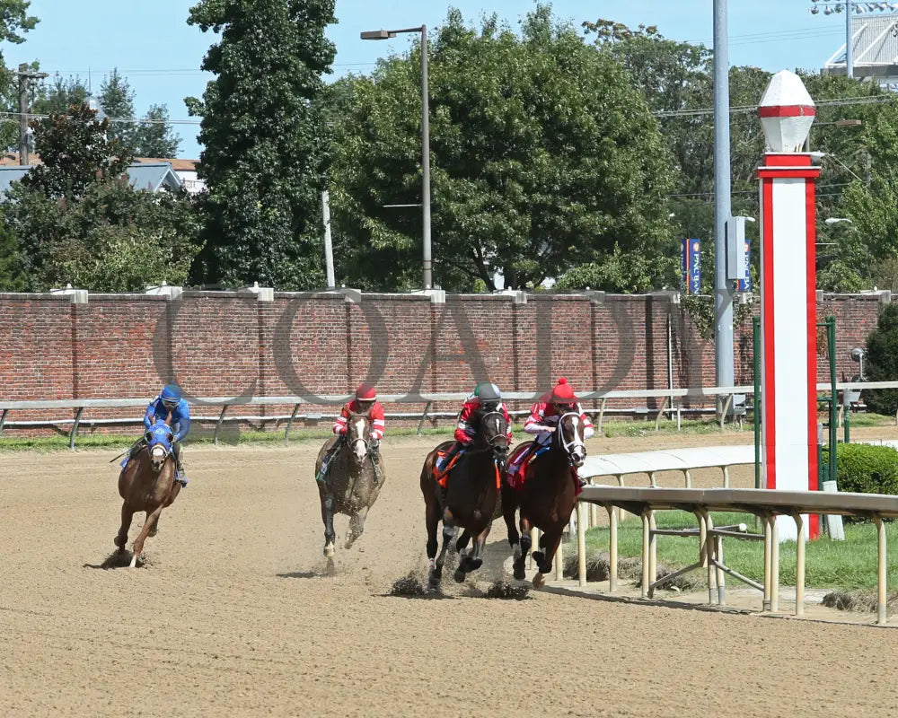 Sconsin - Eight Belles G2 65Th Running 09-04-20 R08 Cd Turn 01 Churchill Downs