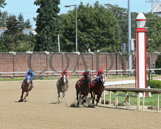Sconsin - Eight Belles G2 65Th Running 09-04-20 R08 Cd Turn 01 Churchill Downs