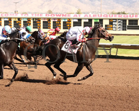 SCOOPS DYNASTY - The AQHA Racing Challenge Championship Gl - 10-18-25 - R10 - The Downs at Albuquerque - Aerial Finish