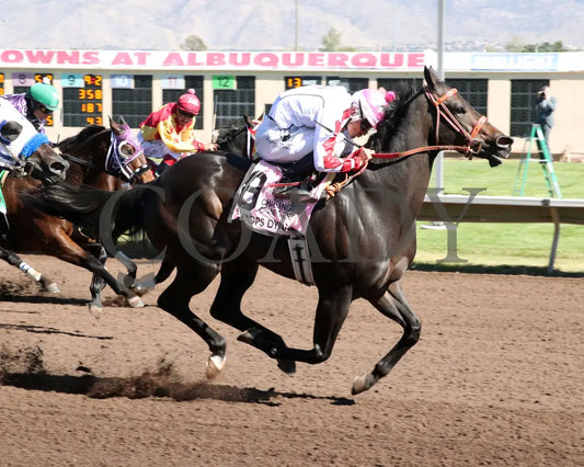 SCOOPS DYNASTY - The AQHA Racing Challenge Championship Gl - 10-18-25 - R10 - The Downs at Albuquerque - Finish 01 Turf