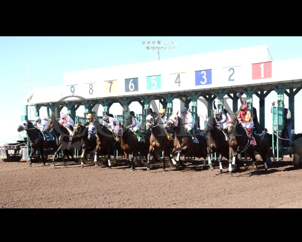 SCOOPS DYNASTY - The AQHA Racing Challenge Championship Gl - 10-18-25 - R10 - The Downs at Albuquerque - Presentation