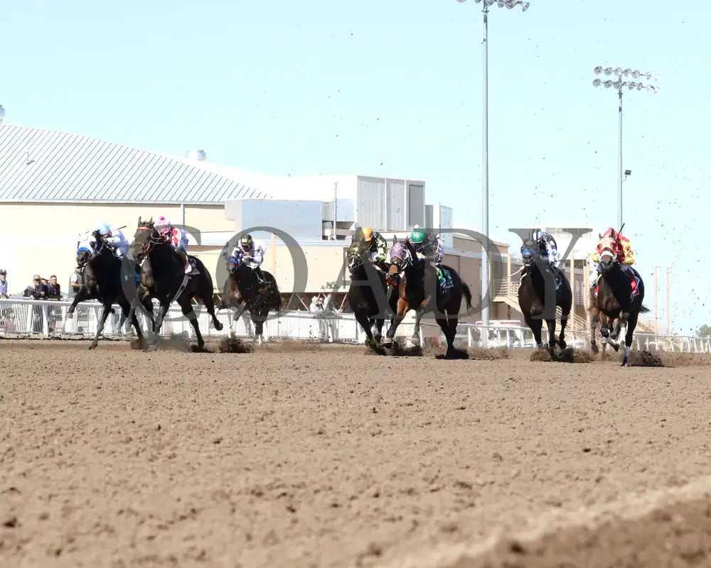 SCOOPS DYNASTY - The AQHA Racing Challenge Championship Gl - 10-18-25 - R10 - The Downs at Albuquerque - Start 01 Turf