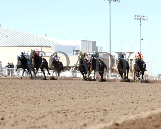 SCOOPS DYNASTY - The AQHA Racing Challenge Championship Gl - 10-18-25 - R10 - The Downs at Albuquerque - Start 01 Turf
