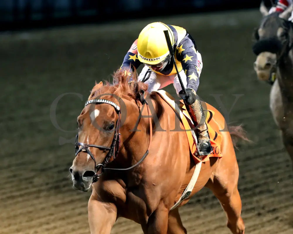 Scotland - 120124 Race 11 Cd Inside Finish 01 Churchill Downs