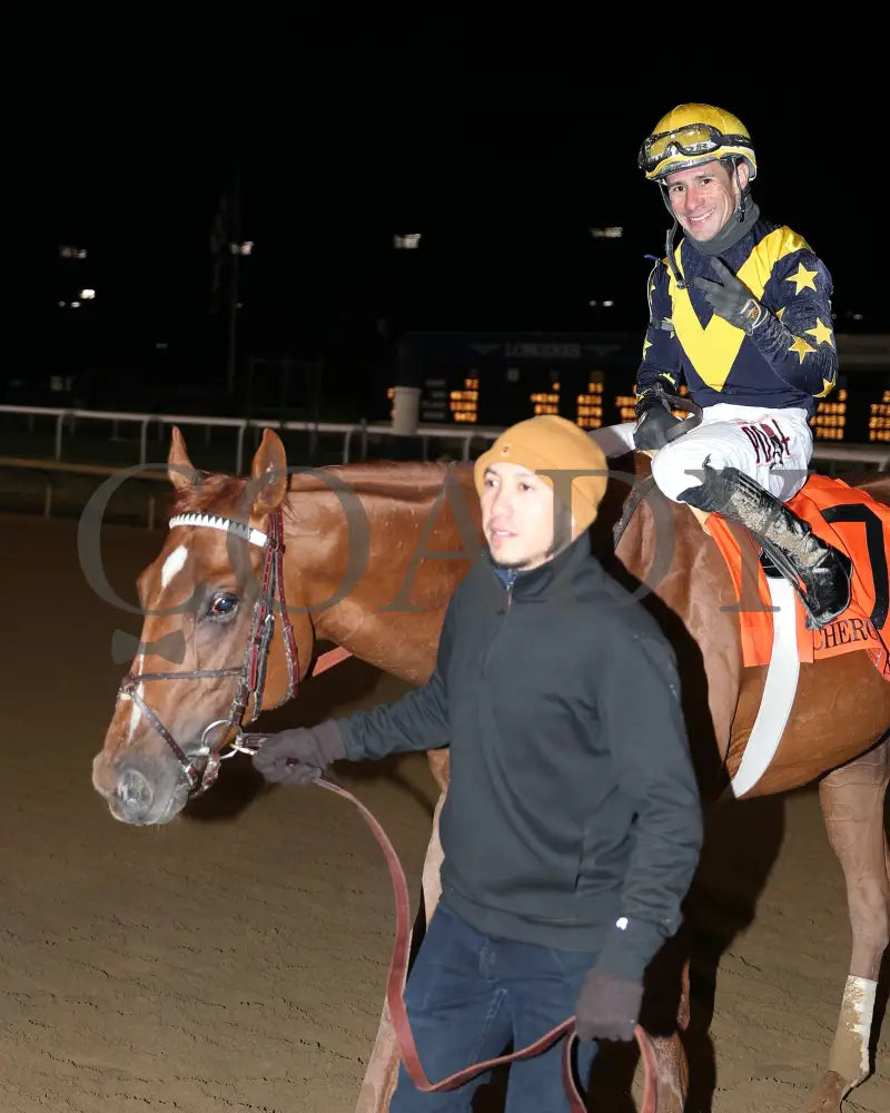 Scotland - The 1St Running Of The Cherokee Mile 12-01-24 R11 Cd Come Back 01 Churchill Downs