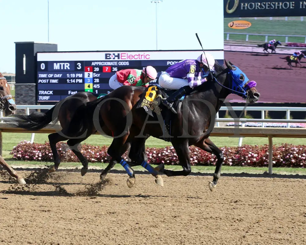 Scotty’s On Edge - Kim Hammond Overnight Handicap 10-26-24 R03 Horseshoe Indiana Finish 01