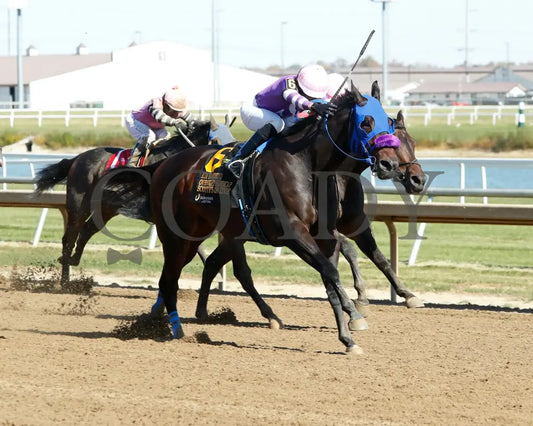 Scotty’s On Edge - Kim Hammond Overnight Handicap 10-26-24 R03 Horseshoe Indiana Finish 02 Devin
