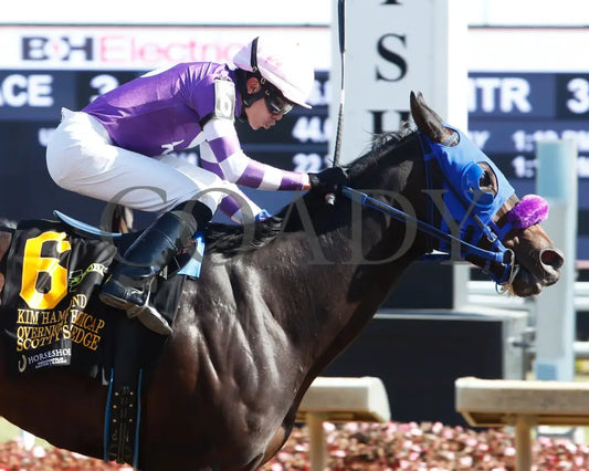 Scotty’s On Edge - Kim Hammond Overnight Handicap 10-26-24 R03 Horseshoe Indiana Tight Finish 01