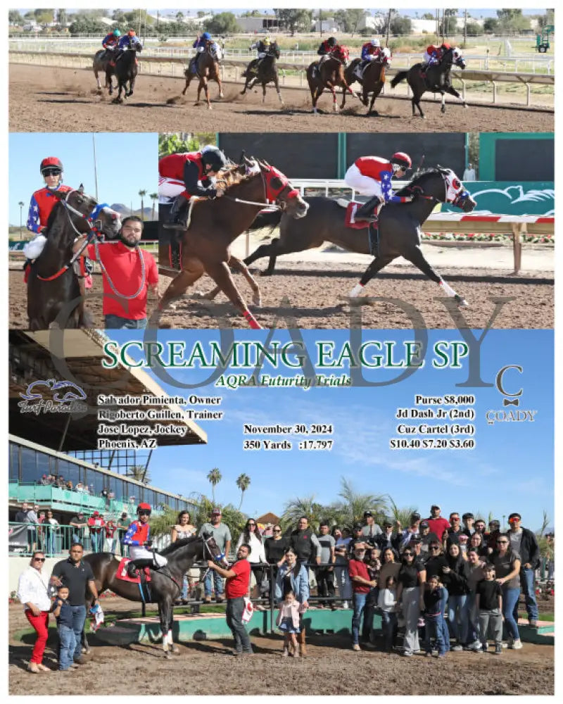 Screaming Eagle Sp - Aqra Futurity Trials 11-30-24 R01 Tup Turf Paradise