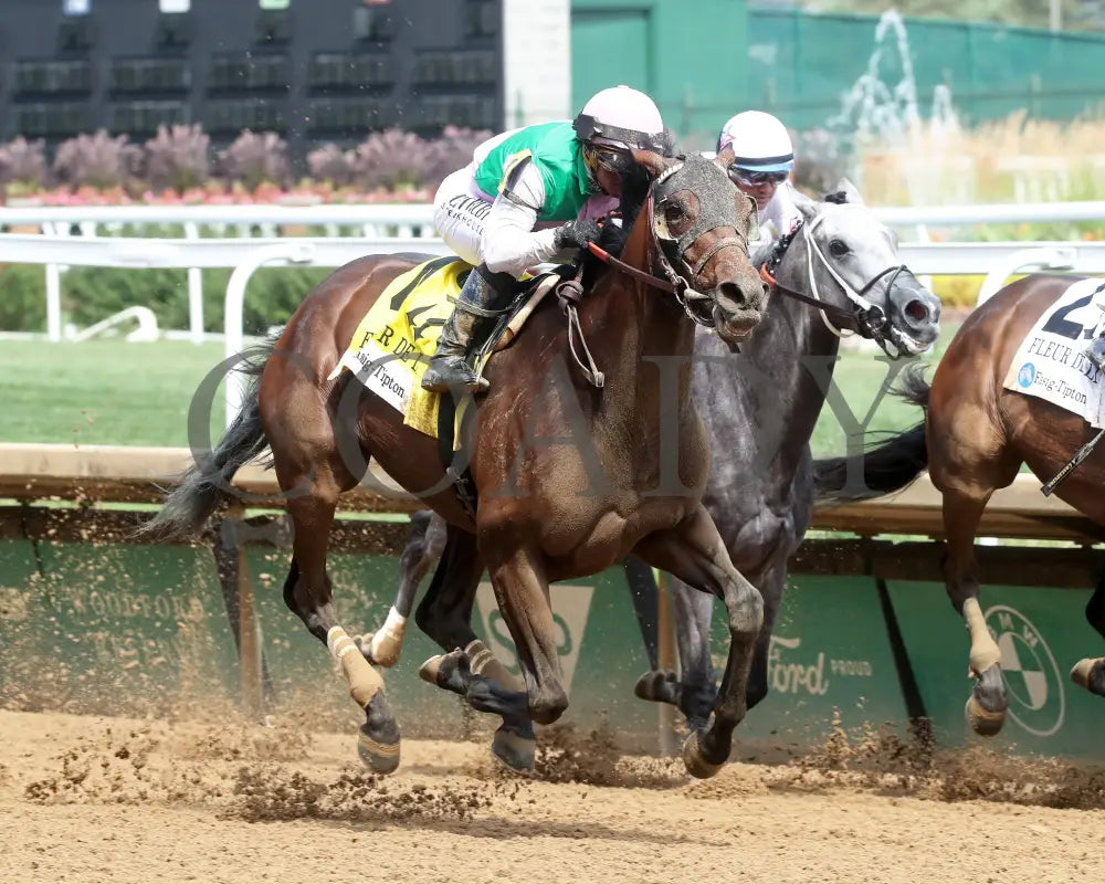 Scylla - The Fasig-Tipton Fleur De Lis G2 06-29-24 R08 Cd Finish 02 Churchill Downs