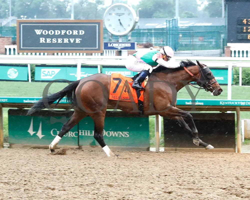 Scylla - The Shawnee G3 5Th Running 06-01-24 R08 Cd Finish 01 Churchill Downs