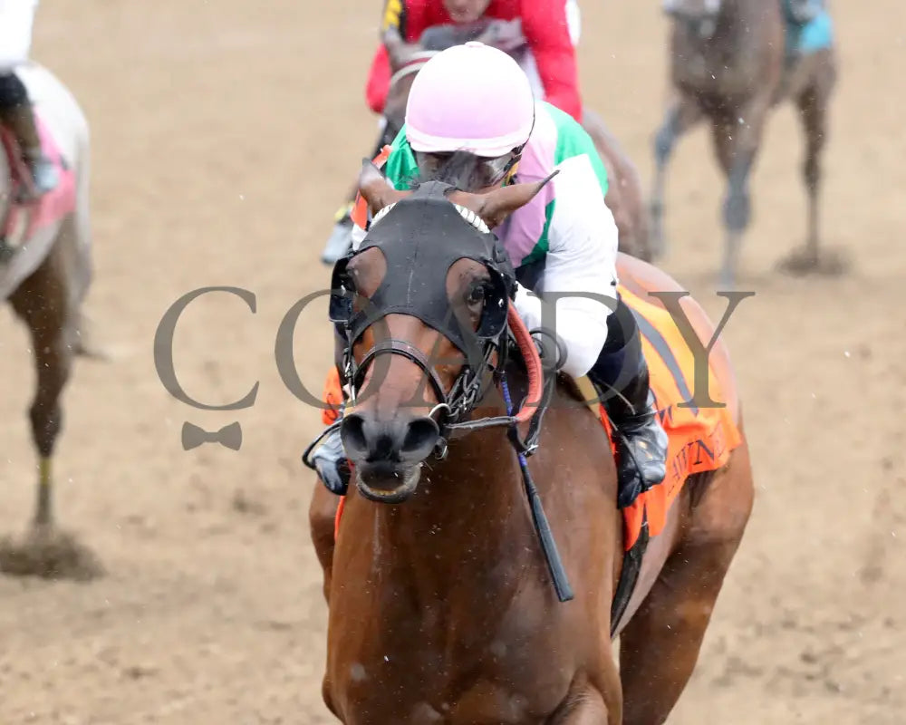 Scylla - The Shawnee G3 5Th Running 06-01-24 R08 Cd Inside Finish 01 Churchill Downs