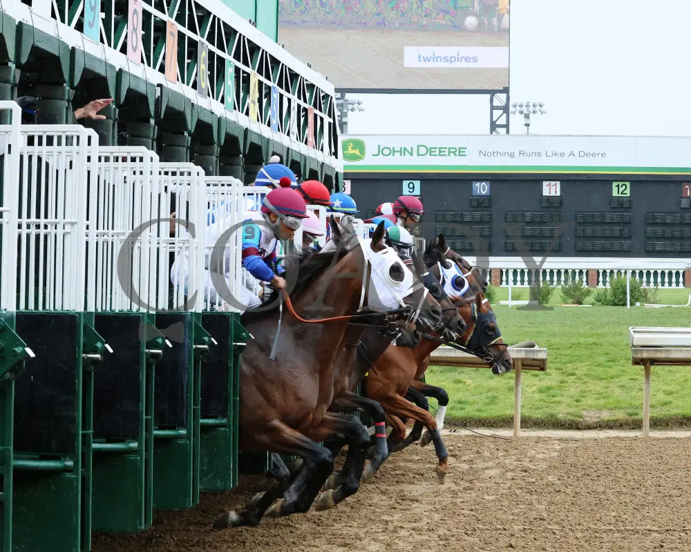 Scylla - The Shawnee G3 5Th Running 06-01-24 R08 Cd Start 01 Churchill Downs