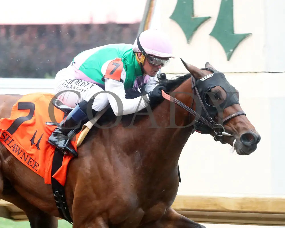 Scylla - The Shawnee G3 5Th Running 06-01-24 R08 Cd Tight Finish 02 Churchill Downs